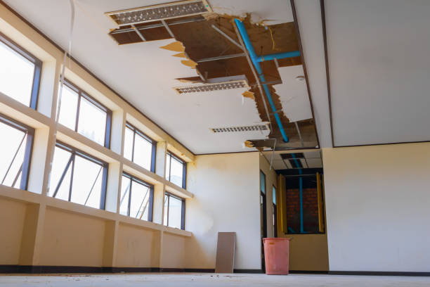 Best Water damage contractors near me  in Rodeo, CA