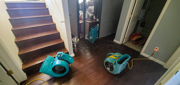 Best Flooded house restoration  in Rodeo, CA