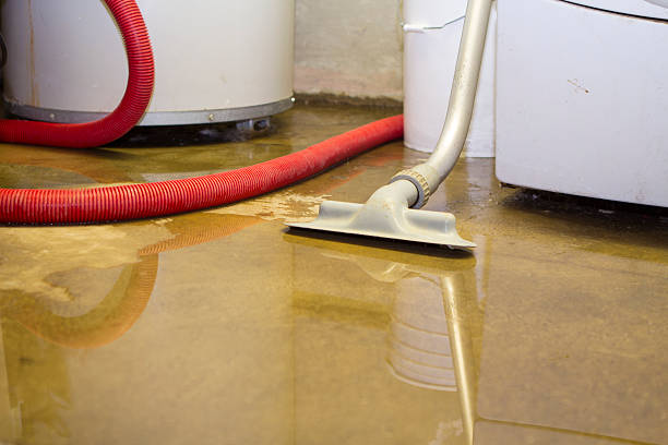 Best Fire Damage Restoration  in Rodeo, CA