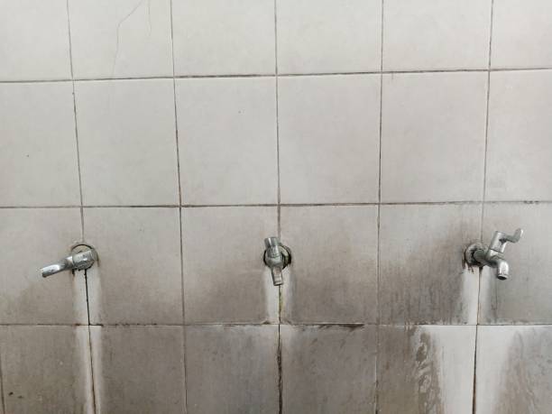 Best Carpet water damage restoration  in Rodeo, CA