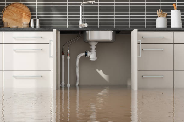Best Mold removal after water damage  in Rodeo, CA