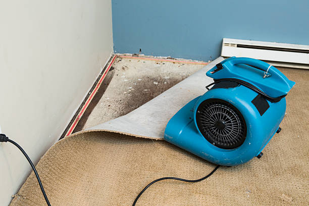 Best Flood damage cleanup  in Rodeo, CA